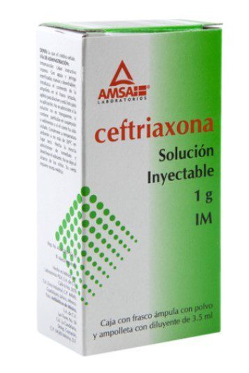 CEFTRIAXONA 1G IM 3.5 ML