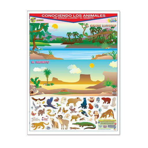 Póster Conociendo Los Animales del Bosque Lluvioso y el Desierto