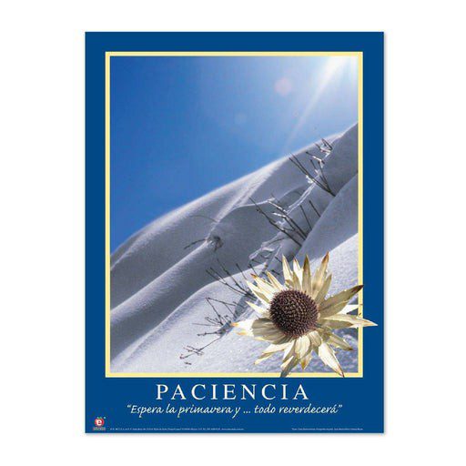 Póster Motivacional Paciencia
