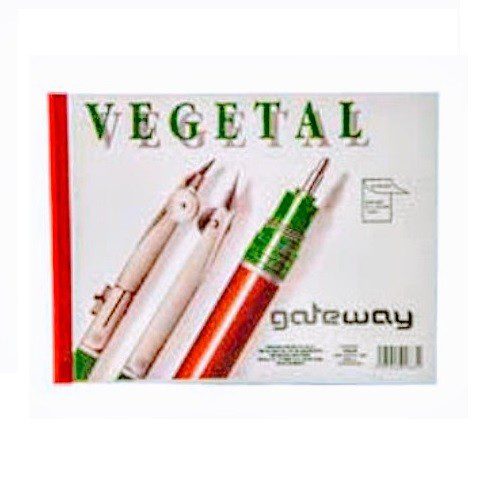 BLOCK CARTA PAPEL VEGETAL 50/55 25H