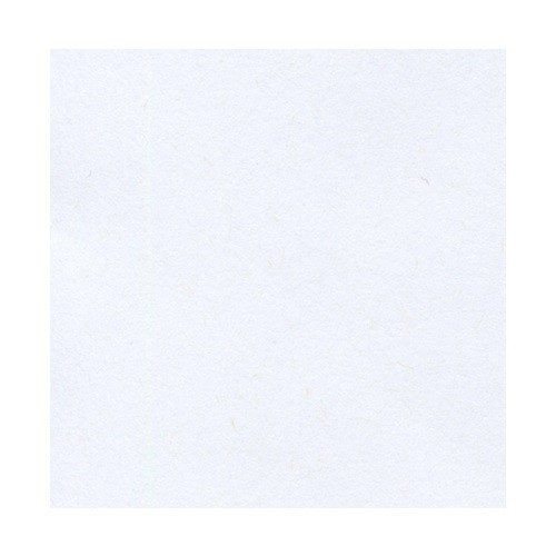 CARTULINA CORSICAN 352G BCA 58X89CM