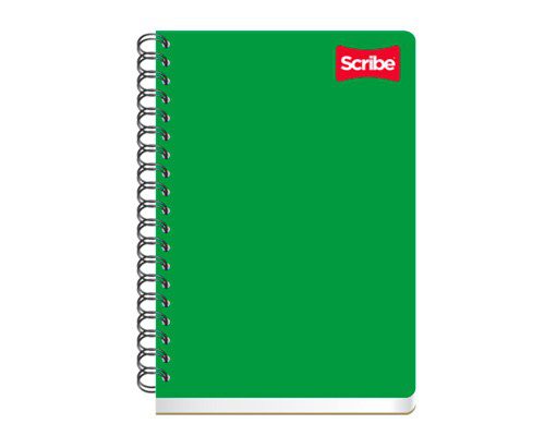 CUADERNO FRANCES CLASICO 100H
