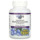 Natural Factors, BlueRich, Superpotente, Concentrado de arándano azul, 500mg, 90cápsulas blandas