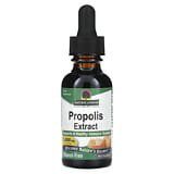 Nature's Answer, Extracto de propóleo, Sin alcohol, 1000mg, 30ml (1oz.líq.)