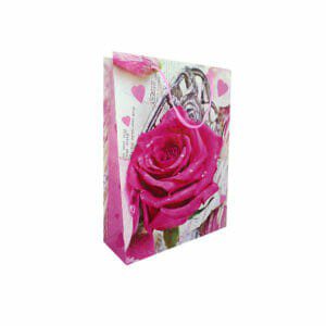 1pza Bolsa de regalo chica de plástico, variedad de diseños 24x18cm / R508