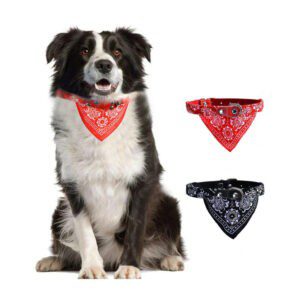 1pza Collar bandana paliacate pañuelo ajustable talla mediana para mascota 37cm, variedad de colores / mas.23.1.5*37