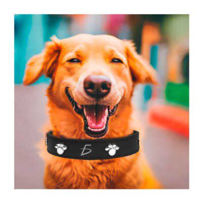 Collar ajustable de piel sintética con decoración de huellas metálicas talla L, variedad de colores / MAS.09.4. L