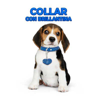 Collar ajustable para mascotas con brillantina y dije de corazón talla M, variedad de colores / MAS.09.5.M