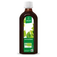 Zumo de abedul sin azúcar