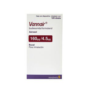 Vannair Aerosol 160Mcg/4.5Mcg 120 Dosis
